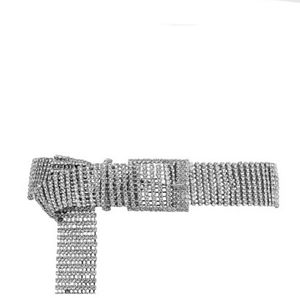 Stunning! Rhinestone Belt NWOT          c